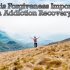 Why is Forgiveness Important in Addiction Recovery?